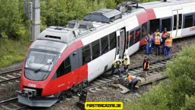 zug entgleist herzberg
